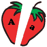 Strawberry Review Game