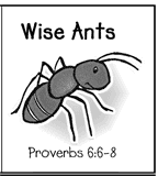 Wise Ant Itty Bitty Book