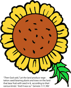 sunday school sunflower bible craft