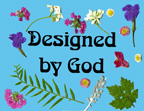 Designed