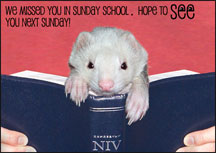 Missed You Ferret Card