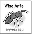 Wise Ant