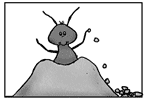 wise ant picture