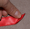 Pic1 Red Ribbon Bird