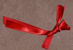 pic5 Red Ribbon Bird