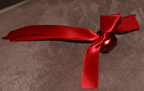 pic6 Red Ribbon bird