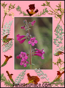Mother's Day Card Craft for Kids