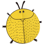 Golden Tortoise Beetle