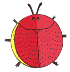 Golden Tortoise Beetle (red)