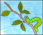 inchworm inch worm color sheet colorsheet and activity sheet