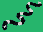 pipe cleaner snake craft