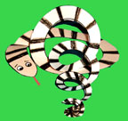 sunday school homeschool jesus king of kings kingsnake bible craft from www.daniellesplace.com