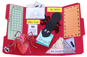Ant LapBook