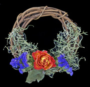 sunday school dried flower Wreath bible Craft from www.daniellesplace.com
