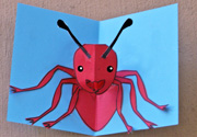 pop out ant picture
