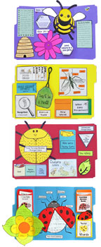 Bug Buddies Studies for Home school