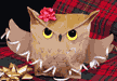 Owl Paper gift bag