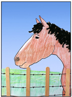 Horse Activity Sheet
