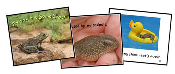 Printable Frog book