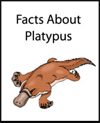 "Facts About Platypus" Printable Itty Bitty Book