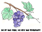 sunday school vine and Branches bible Craft