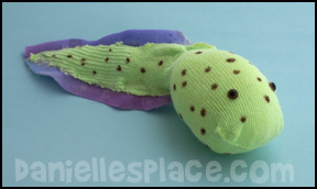 Sock Tadpole Craft for Kids from www.daniellesplace.com