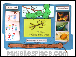 Walking Stick Lap Book from Bug Buddy Series from www.daniellesplace.com