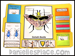Goliath Beetle Lap Book Lesson from Bug Buddy Studies Series from www.daniellesplace.com