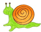 snail cfaft
