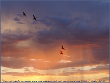 Wallpaper17-DucksSunset