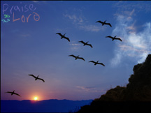 Sunset and Birds Wallpaper