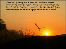 Christian Wallpaper Pelican and Sunrise