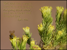 Bee Wallpaper