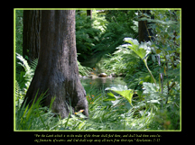Mount Hermon Creek Christian Wallpaper