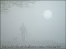Wallpaper Fog