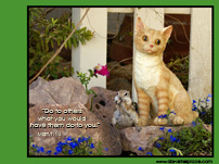 Bible Verse Wallpaper - Chipmunk