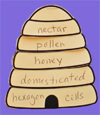 Bee Hive Shape Book for lapbooks from www.daniellesplace.com Bee Hive Shape Book for lapbooks from www.daniellesplace.com