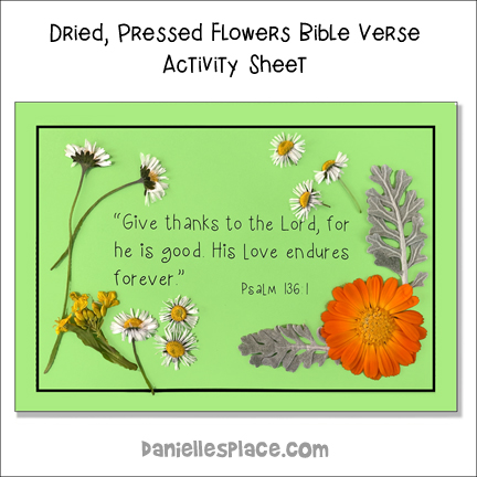 Dried, Press Flower Bible Verse Activity Sheet