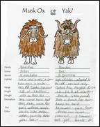 muskox or yak Printable Activity Sheet