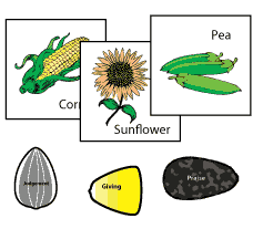 Reaping and Sowing Identification Game