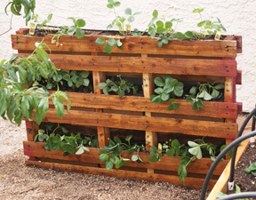 Pallet Planter Box