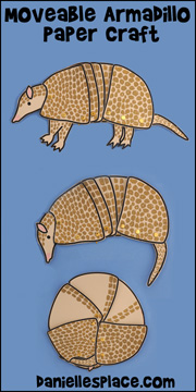 armadillo craft