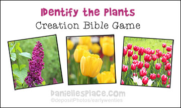 Identify the Plants Creation Bible Game