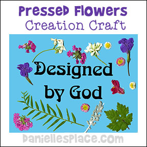 Pressed Flower Creation Craft from www.daniellesplace.com