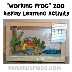 Frog Display Learning Activity