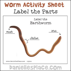 Label the Earthworm Printable Activity Sheet from www.daniellesplace.com