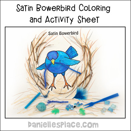 Bowerbird Coloring and Activity Sheet - STEAM learning activity