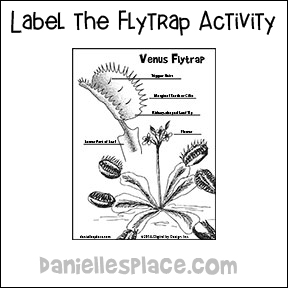 Label the Parts - Venus Flytrap Activity