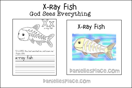 ABC, I Believe - Xray fish  Bible Lesson