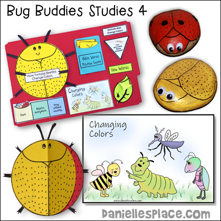 Bug Buddies Study 4 - Golden Tortoise Beetle - Chaning Colors